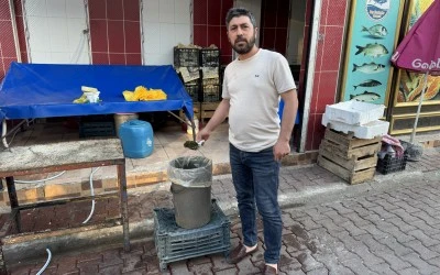 Siirt'te tamamen doğal ortamda toplanıyor, kilosu 350 liradan satılıyor