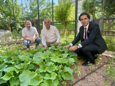Siirt'te Tarım Akademisi Yeni Eğitim-&Ouml;ğretim Yılına Hazırlanıyor