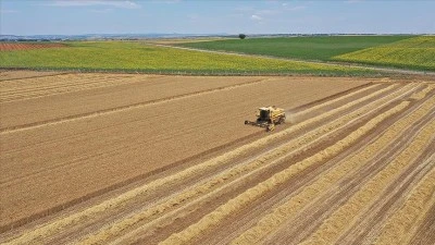 Siirt’te Tarım Arazilerinde Tehlikeye Dikkat!