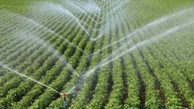 Siirt&rsquo;te Tasarruflu Tarımsal Sulama Sistemleri İ&ccedil;in Hibe Başvuruları Başladı