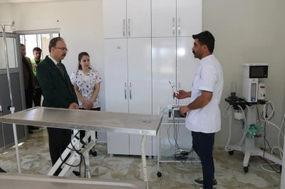 Siirt’te tedavi edilen hayvanlar barınakta yaşamlarını sürdürüyor