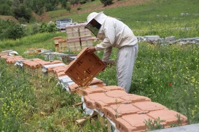 Siirt'te &uuml;reticilere verilen destekler bal &uuml;retimini artırdı