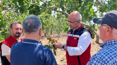 Siirt'te &Uuml;reticilere Y&ouml;nelik Saha &Ccedil;alışmaları Devam Ediyor