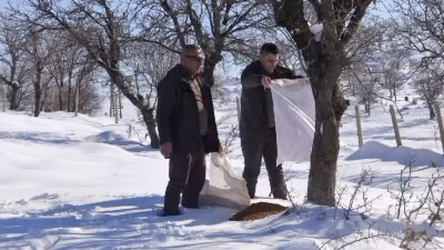 Siirt&rsquo;te Yaban Hayvanları Unutulmadı!