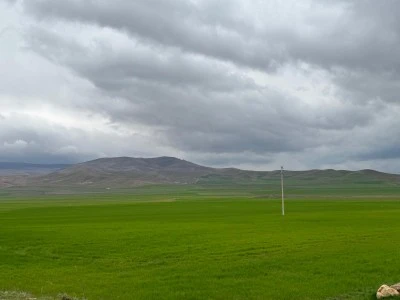 Siirt&rsquo;te Yağışlar Sevindirdi Ama &Ccedil;ift&ccedil;iyi B&uuml;y&uuml;k Risk Bekliyor