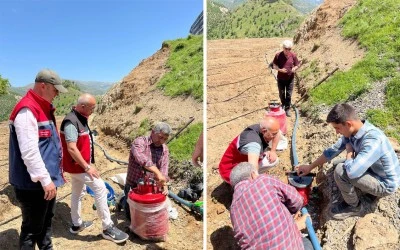 Siirt’te Yeni Bir Ürün İçin Deneme Alanı Kuruldu