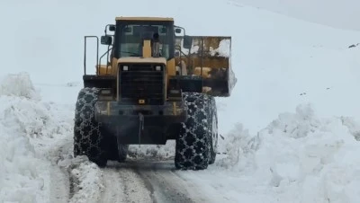 Siirt&rsquo;te Yoğun Kar Yağışı Hayatı Olumsuz Etkiledi