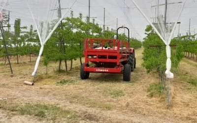 Siirt&rsquo;te Y&uuml;ksek Telli Bağ Projesi Başvuruları Başladı