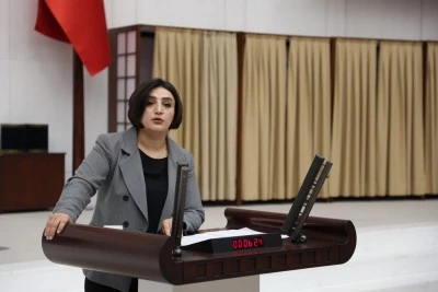 Siirt’teki balık ölümleri Meclis gündemine taşındı