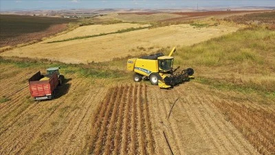 Siirt Valiliği Uyardı: Ağır Cezalar Kesilecek!