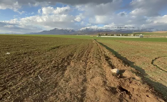 Siirt'in komşu ilinde arazide kan donduran anlar: Poşetin içinde bebek cesedi