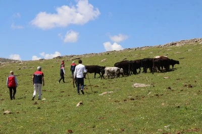 Siirtli &ccedil;ift&ccedil;i devlet desteğiyle b&uuml;y&uuml;kbaş hayvan sayısını artırdı