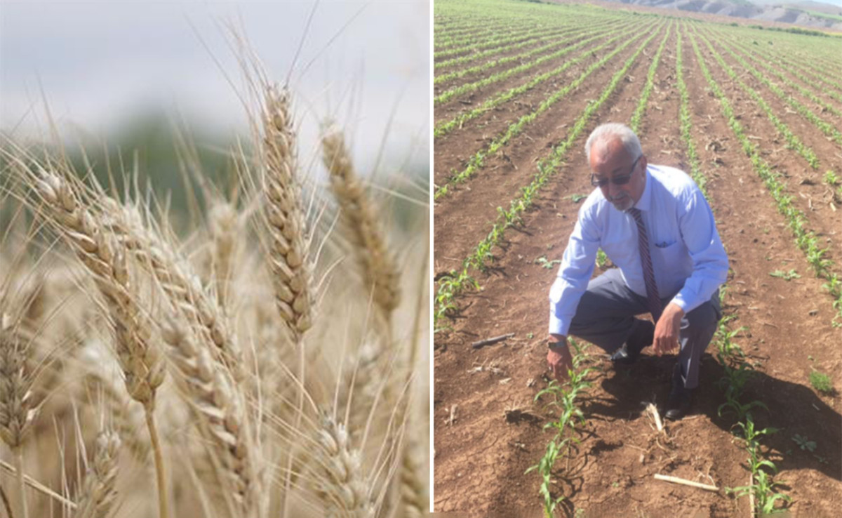 Siirtli çiftçi o ödemeyi bekliyor!