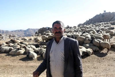 Siirtli Göçerler Soğuyan Havayla Dönüş Yoluna Çıktı