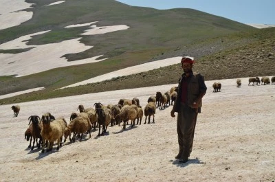 Siirtli G&ouml;&ccedil;erler Yazı Kar &Uuml;zerinde Ge&ccedil;iriyor! 