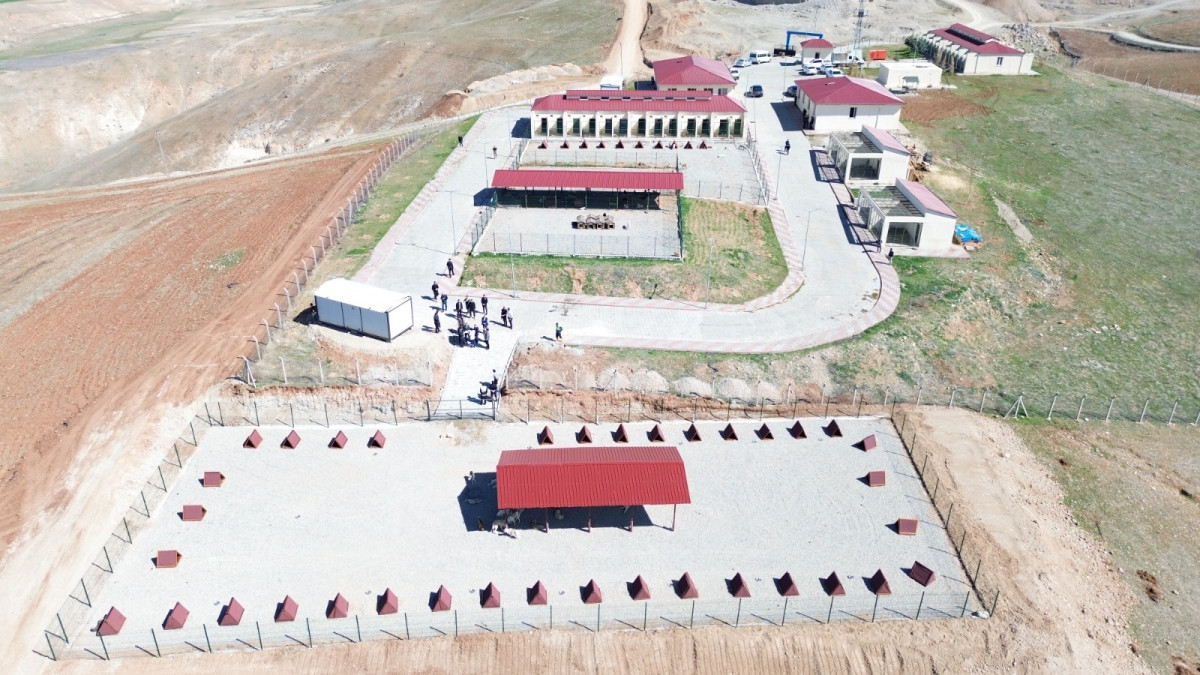 Siirt’te Hayvan Dostu Proje: 41 Dönümlük Alan, 700 Kapasiteli Bakımevi
