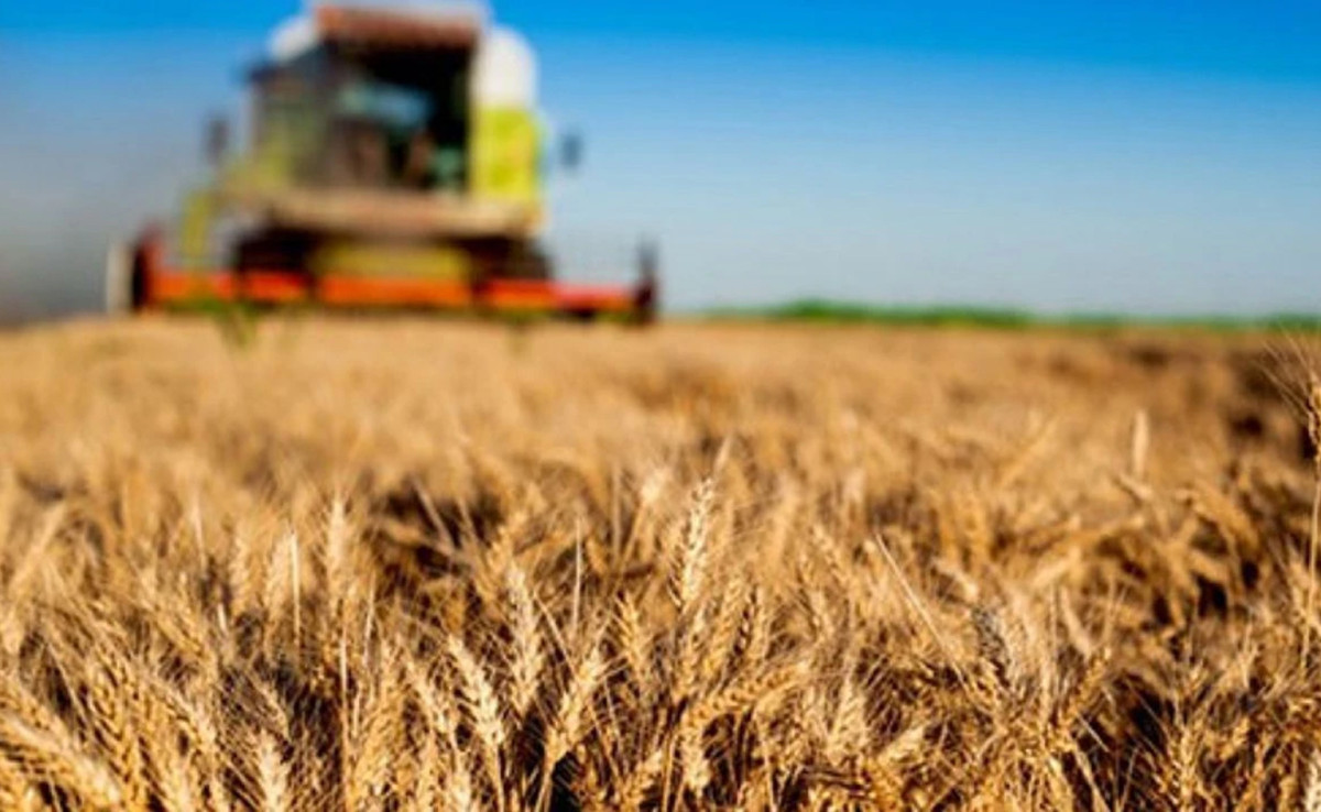 Siirt’te Tarıma Dayalı Yatırımlara yüzde 50 Hibe Desteği