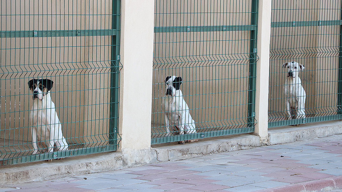 Siirt’te yeni tesis için düğmeye basıldı! 2025’te hizmete açılacak