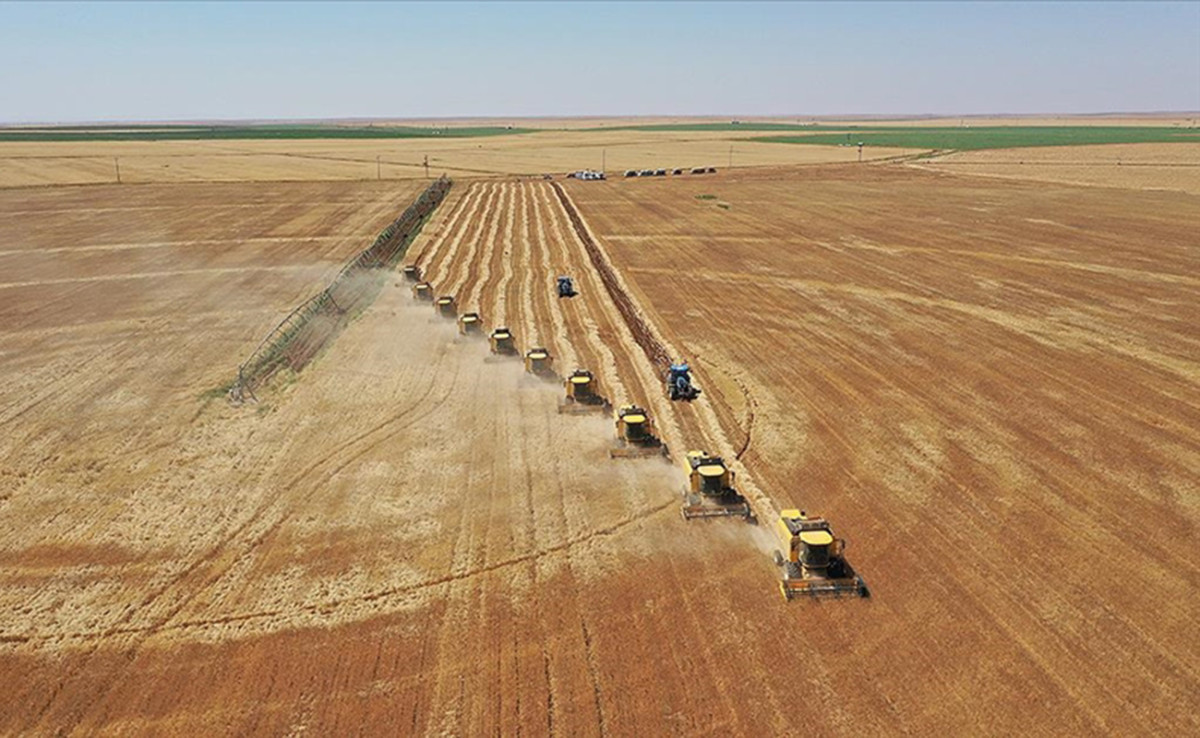 Siirt’teki çiftçileri yakından ilgilendiriyor! Destek prim oranını açıkladı