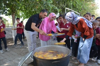 Silopi'de mısır şenliği düzenlendi