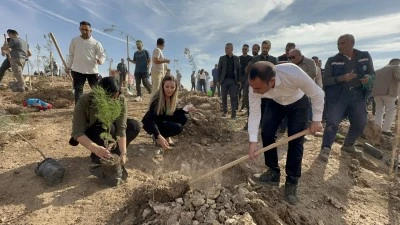 Silopi'de &quot;Kent Ormanı Projesi&quot; kapsamında fidanlar toprakla buluştu