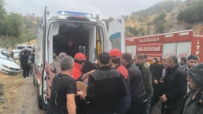 Şırnak'ta devrilen otomobilin s&uuml;r&uuml;c&uuml;s&uuml; yaralandı