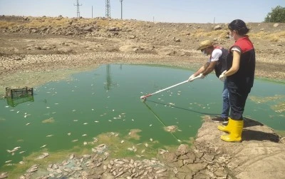 Şırnak'ta iki göletteki balık ölümleri nedeniyle inceleme başlatıldı