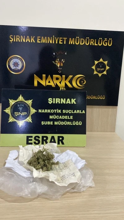 Şırnak'ta kaçakçılık operasyonlarında yakalanan 4 şüpheli tutuklandı