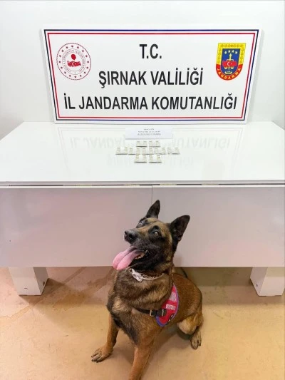 Şırnak'ta ka&ccedil;ak&ccedil;ılık ve asayiş operasyonlarında 105 ş&uuml;pheliye adli işlem uygulandı