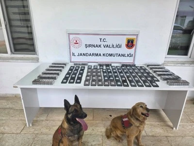 Şırnak'ta ka&ccedil;ak&ccedil;ılık ve asayiş operasyonlarında 109 kişiye adli işlem uygulandı