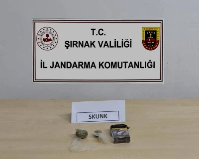 Şırnak'ta kaçakçılık ve asayiş operasyonlarında 35 kişi hakkında işlem yapıldı