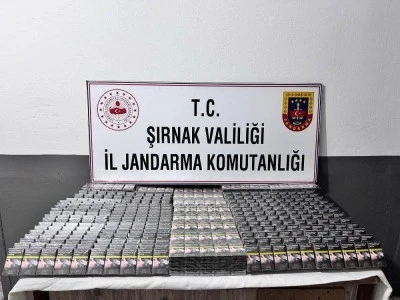 Şırnak'ta ka&ccedil;ak&ccedil;ılık ve asayiş operasyonlarında 82 kişi hakkında işlem yapıldı