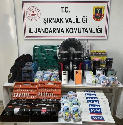 Şırnak'ta kaçakçılık ve asayiş operasyonlarında yakalanan 1 zanlı tutuklandı