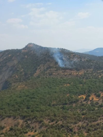 Şırnak'ta orman ve örtü yangınına müdahale ediliyor