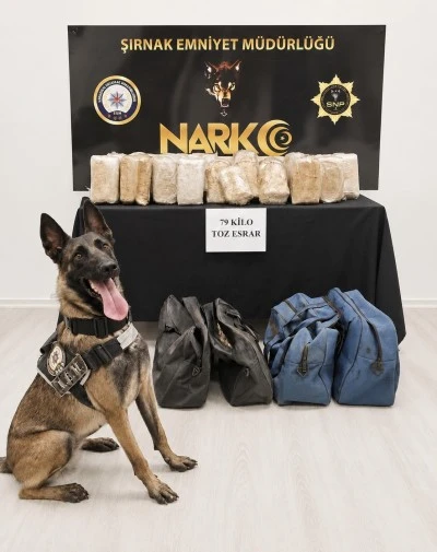 Şırnak'ta tırda 79 kilogram esrar ele ge&ccedil;irildi