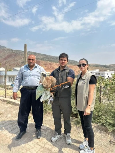 Şırnak'ta yaralı ya da bitkin halde bulunan farklı türden 4 kuş tedavi altına alındı