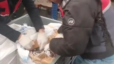Sosyal medya &uuml;zerinden uyuşturucu satanlara y&ouml;nelik operasyonlarda 99 ş&uuml;pheli tutuklandı