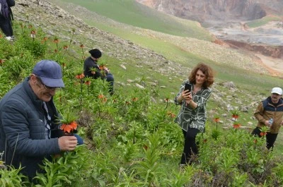 Trabzon'dan Muş'a uzanan ters lale yolculuğu