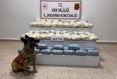 Van'da 47 kilo 800 gram skunk ele geçirildi