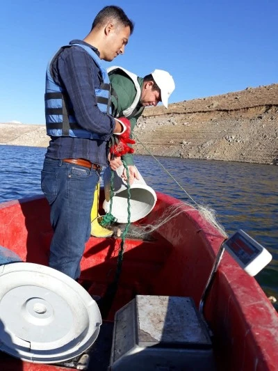 Van'da göl ve sulak alanlarda sazangiller av yasağı sona erdi