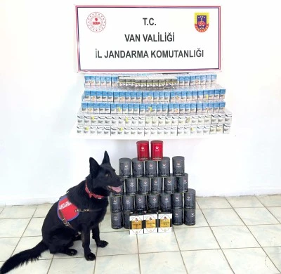 Van'da gümrük kaçağı sigara ve çay ele geçirildi