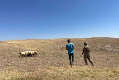 Van'da kırsalda kaybolan koyunları jandarma ekipleri dronla buldu