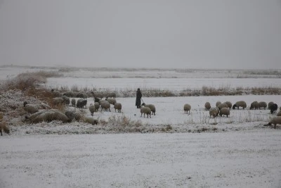 Van'da merada koyun otlatan çobanlar kara yakalandı