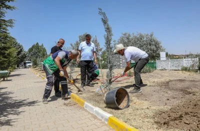 Van'da mezarlıklarda yeşillendirme ve peyzaj çalışması