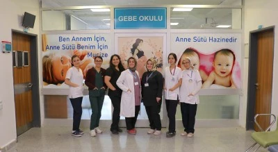Van'da yaklaşık 15 bin kadın normal doğum ve anne sütü konusunda bilgilendirildi