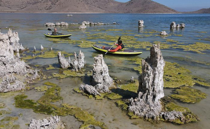 Van Gölü'nün çekilmesiyle ortaya çıkan mikrobiyalitler ilgi çekiyor