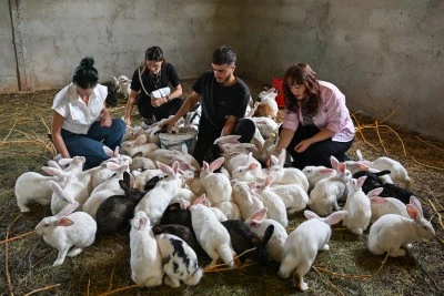Vanlı genç kurduğu çiftlikte Yeni Zelanda ırkı etlik tavşan yetiştiriyor
