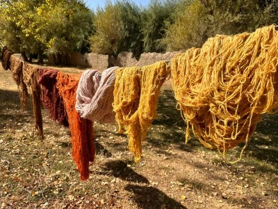 Vanlı kadınlar, iplere doğada topladıkları bitkilerle renk veriyor