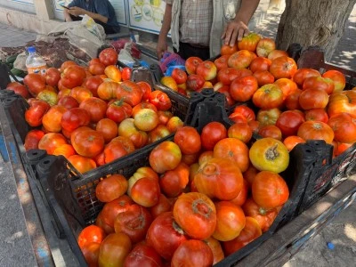 Yerli Hasat Pazara Yansıdı, Domateste Fiyatlar Düştü